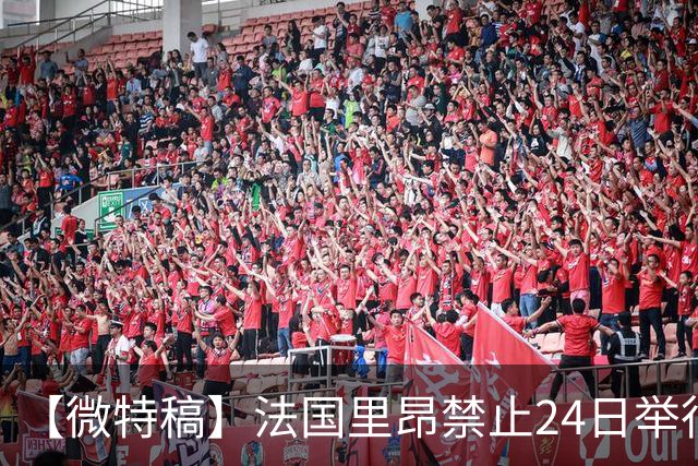 【微特稿】法国里昂禁止24日举行任何示威活动