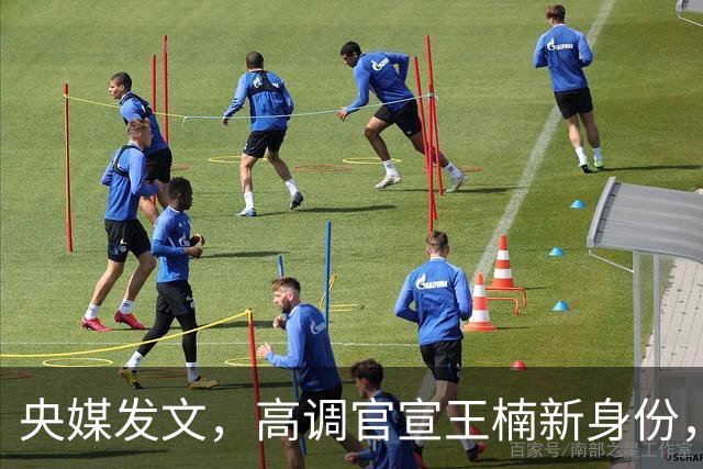 央媒发文，高调官宣王楠新身份，资产查封被带走调查早就真相大白