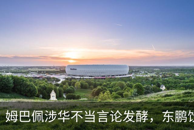 姆巴佩涉华不当言论发酵，东鹏饮料终止合作，蒙牛下架物料！其言论性质严重、伤害中国人民感情，不予翻译、不公开