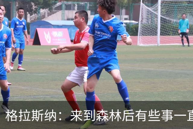 格拉斯纳：来到森林后有些事一直让我不满，是时候不再妥协了