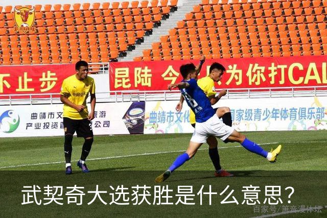 武契奇大选获胜是什么意思？