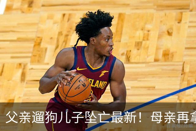 父亲遛狗儿子坠亡最新！母亲再拿铁证，窗户被动手脚，爷爷更可疑
