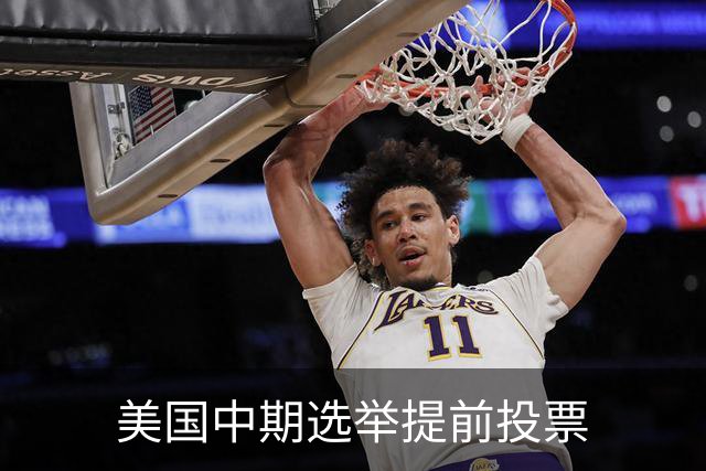 美国中期选举提前投票