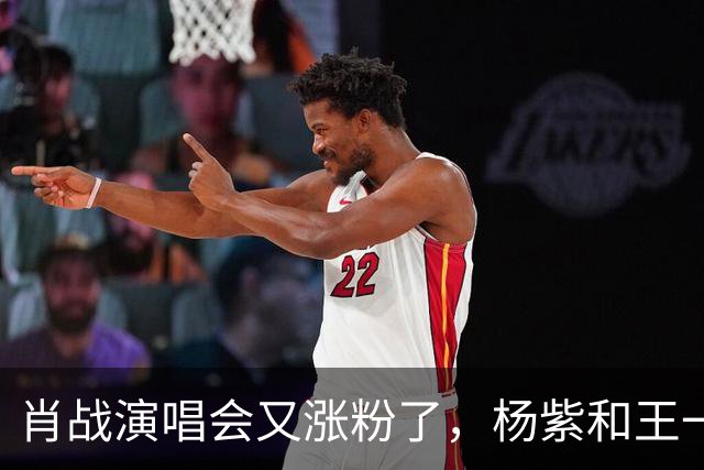 肖战演唱会又涨粉了，杨紫和王一博都被照顾了！