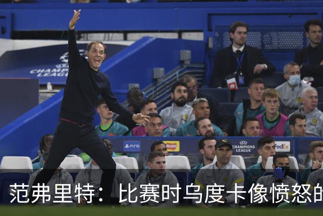 范弗里特：比赛时乌度卡像愤怒的公牛，我是沟通桥梁