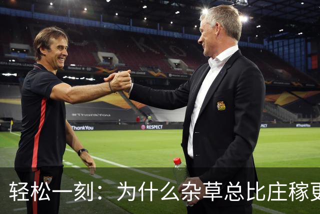 轻松一刻：为什么杂草总比庄稼更顽强？