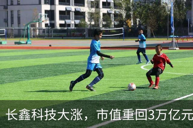 长鑫科技大涨，市值重回3万亿元